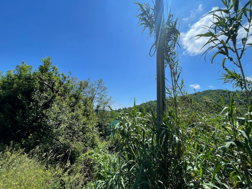 Casa Indipendente - Image 3