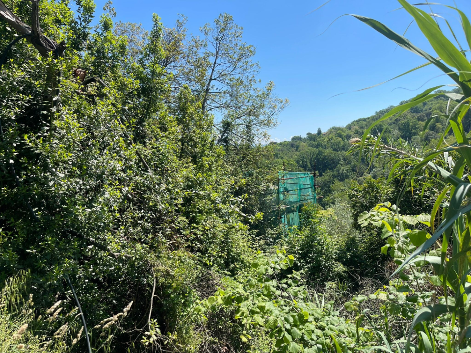 Casa Indipendente - Image 7