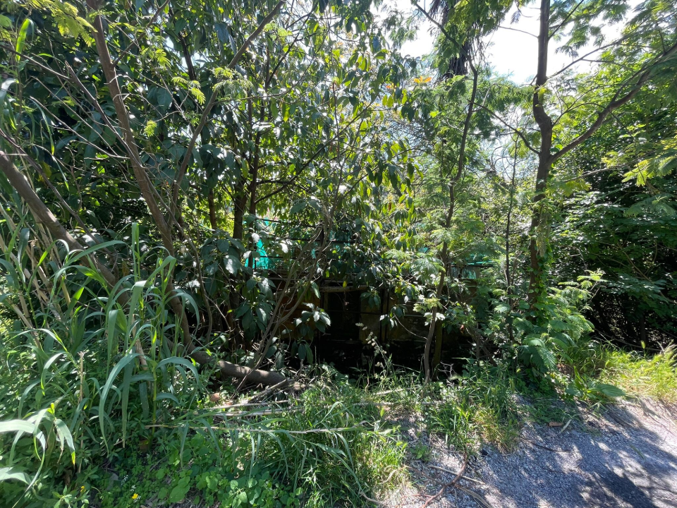 Casa Indipendente - Image 5