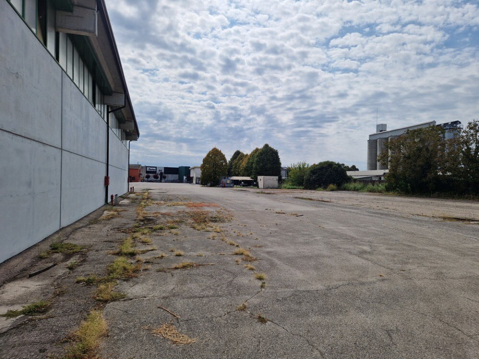 Complesso - Image 12