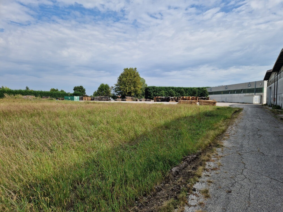 Complesso - Image 14