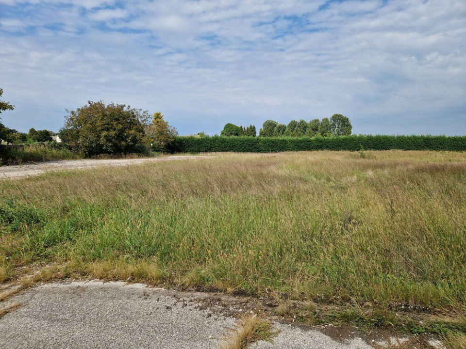 Complesso - Image 13