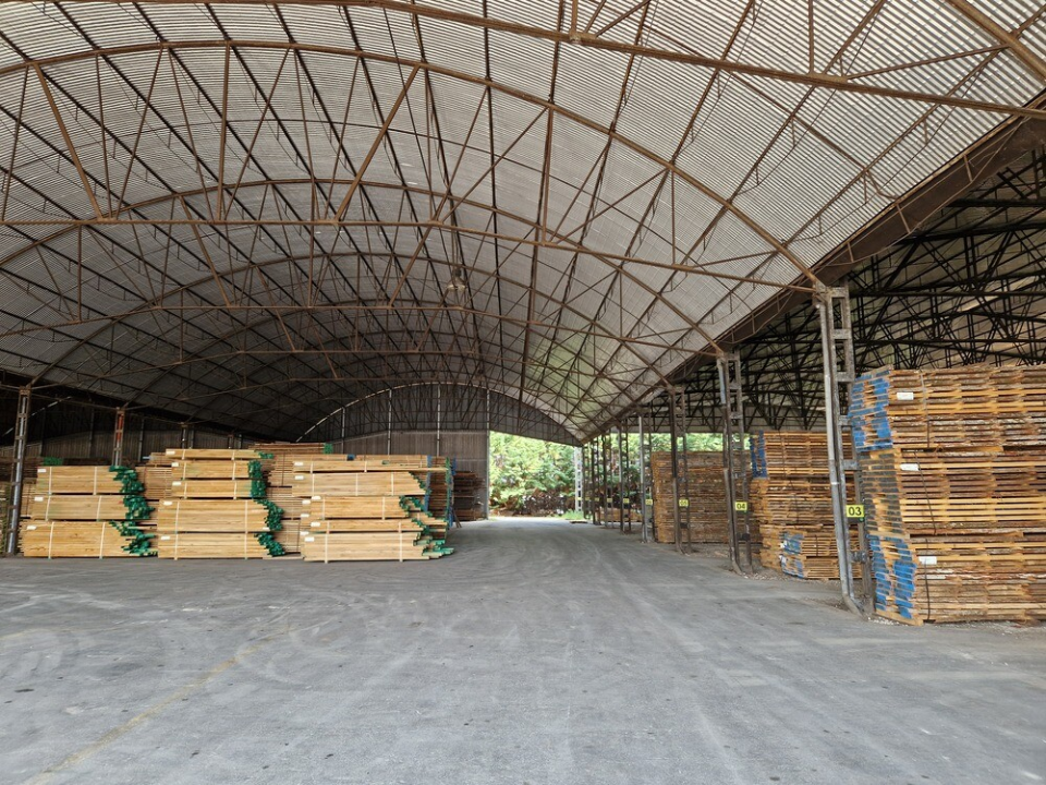 Complesso - Image 21