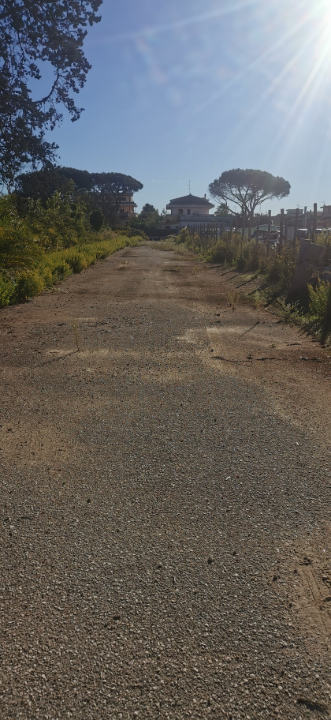 Complesso - Image 10