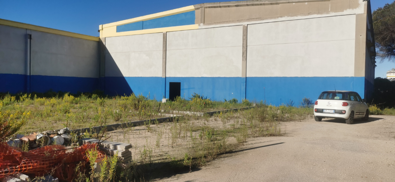 Complesso - Image 11