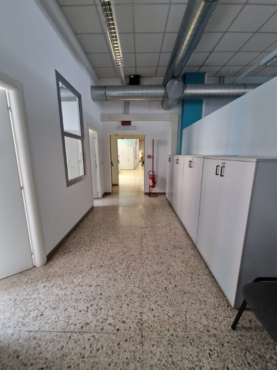 Edificio Direzionale - Image 7