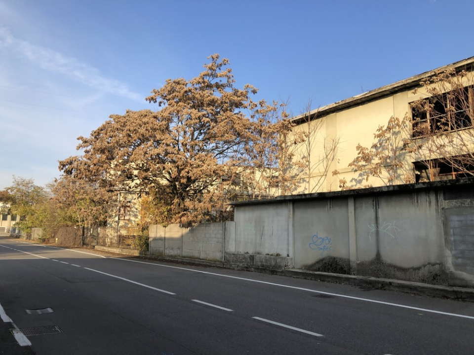 Capannone - Image 17