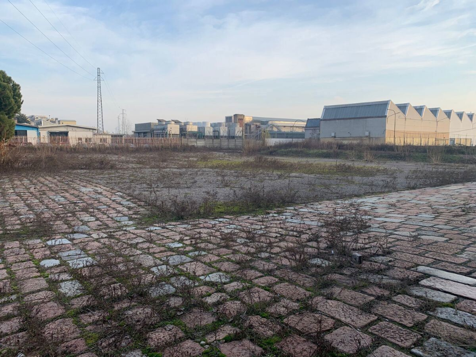 Complesso - Image 16