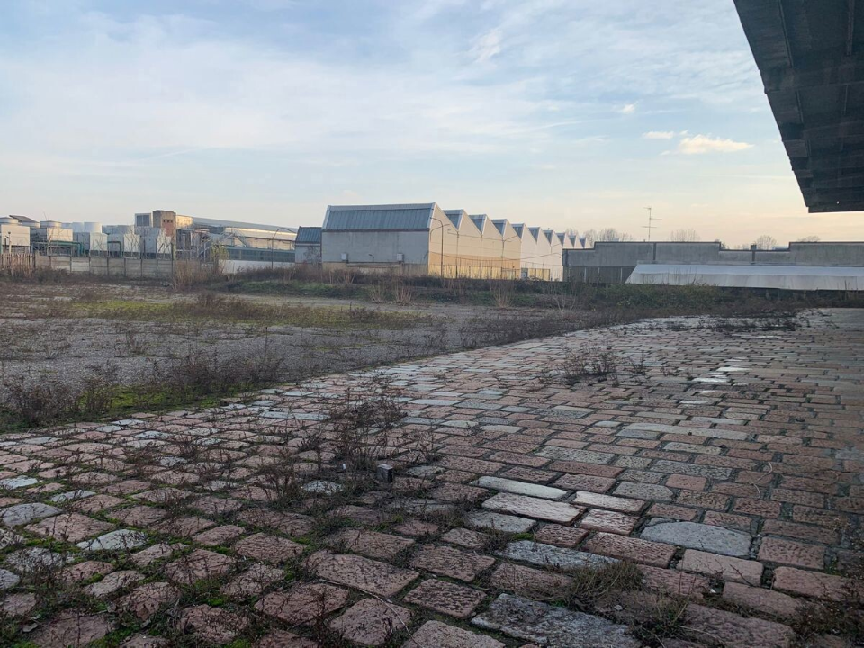 Complesso - Image 21