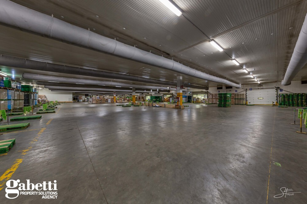 Capannone - Image 15