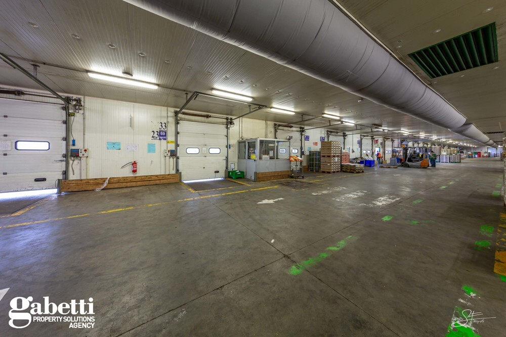 Capannone - Image 17