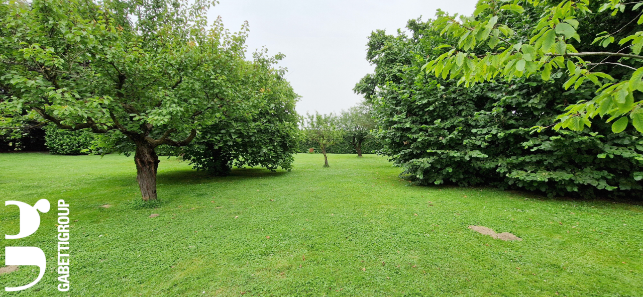 Complesso - Image 11