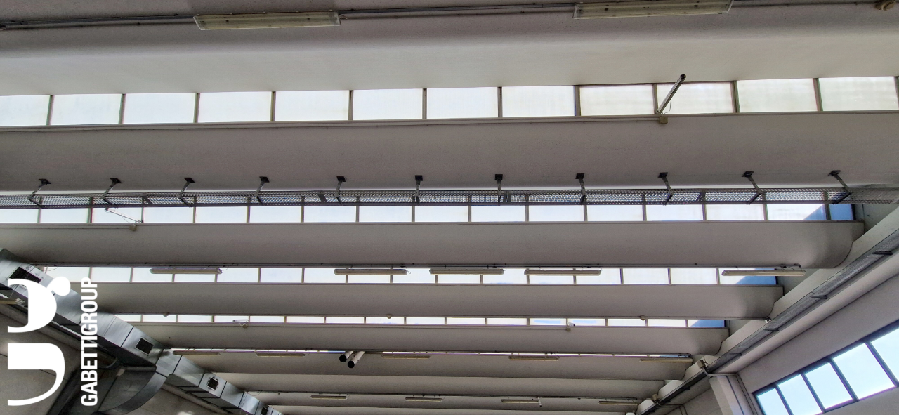 Complesso - Image 29