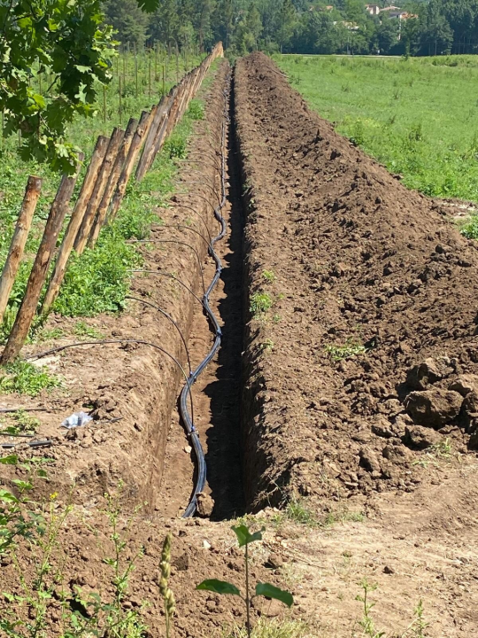 Complesso - Image 10