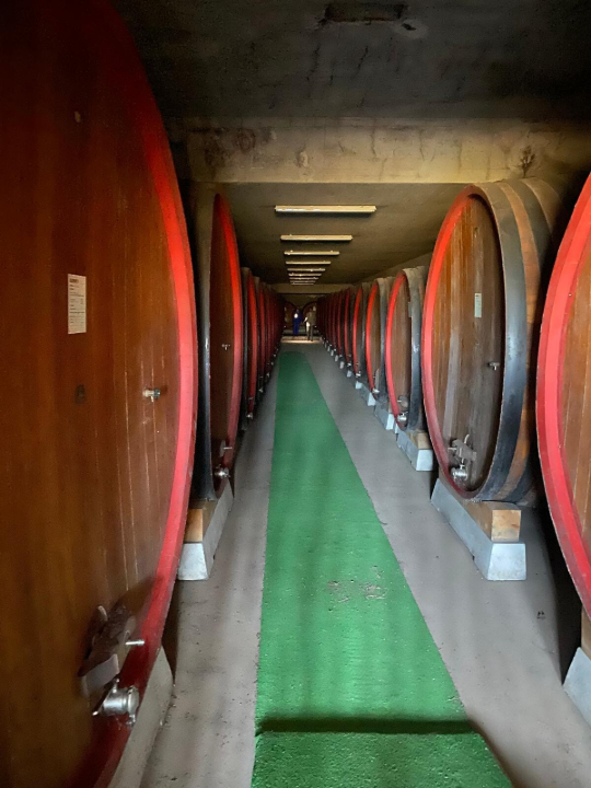 Complesso - Image 13