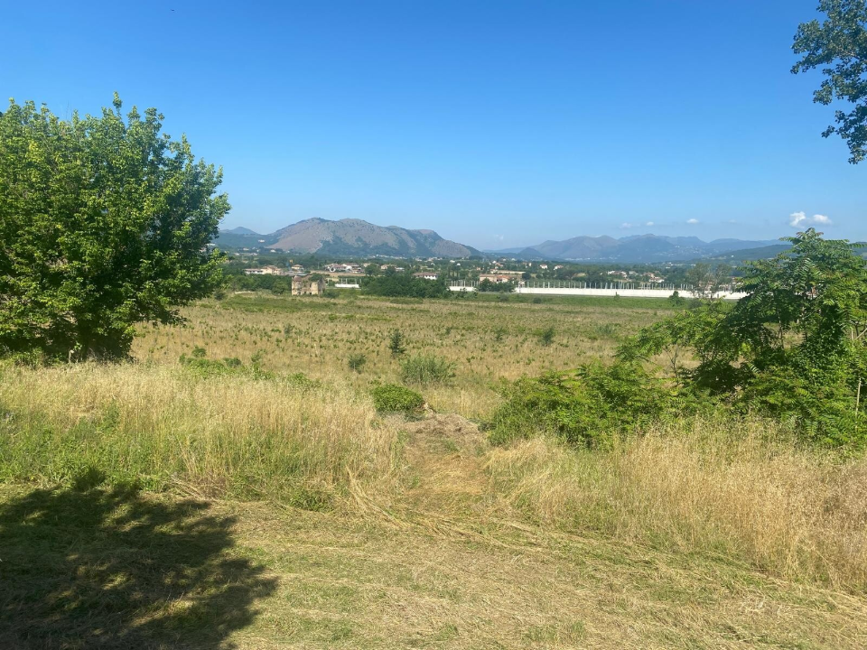 Complesso - Image 22