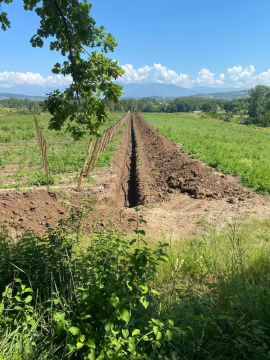 Complesso - Image 12