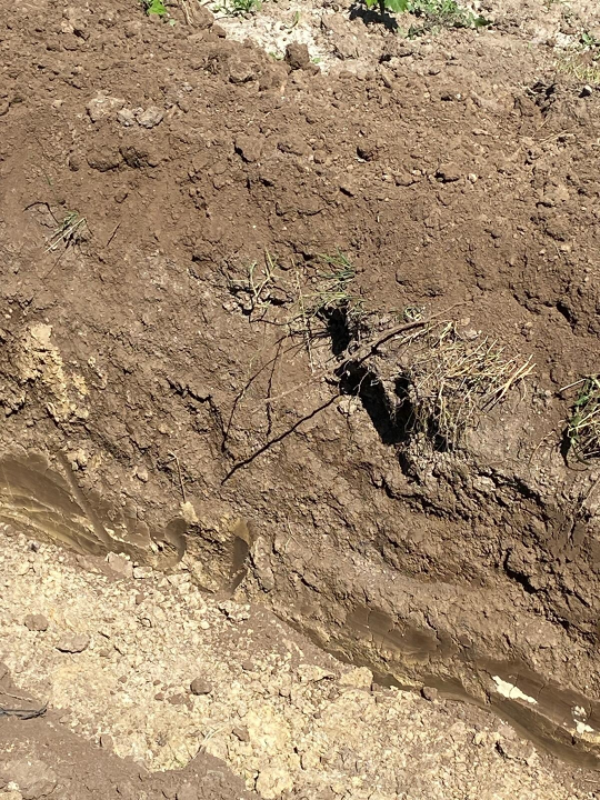 Complesso - Image 15