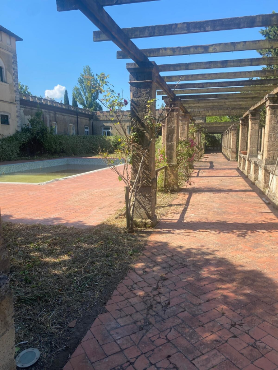 Complesso - Image 14