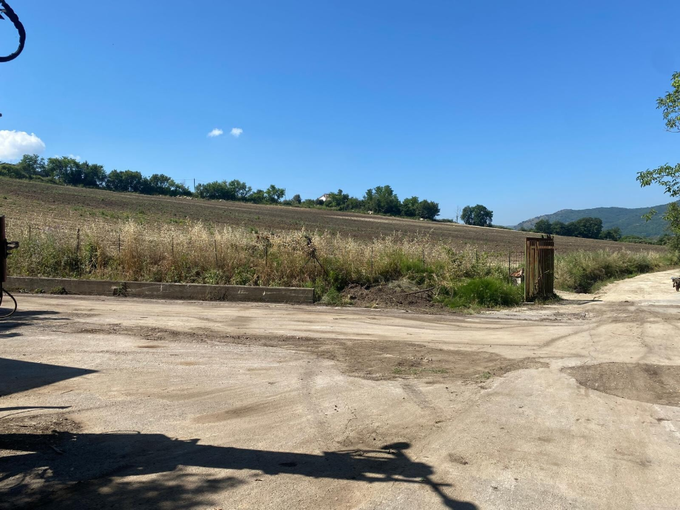 Complesso - Image 24