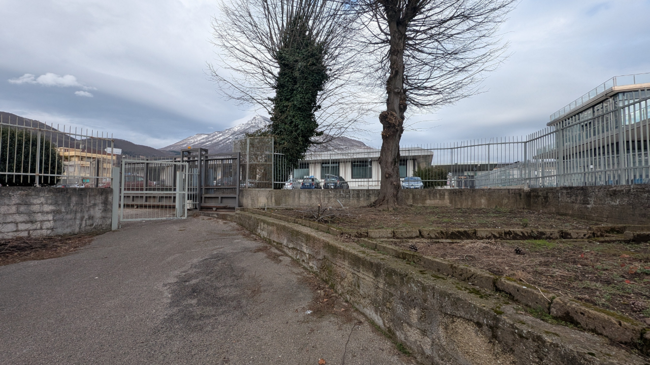 Complesso - Image 40