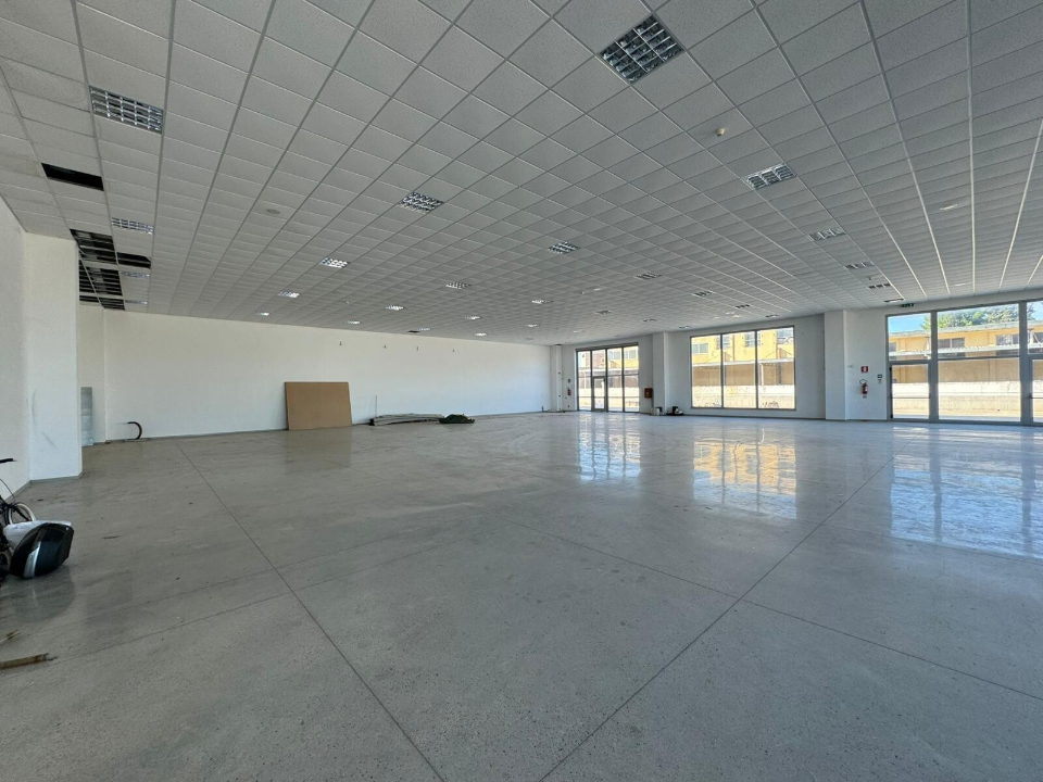 Complesso - Image 19