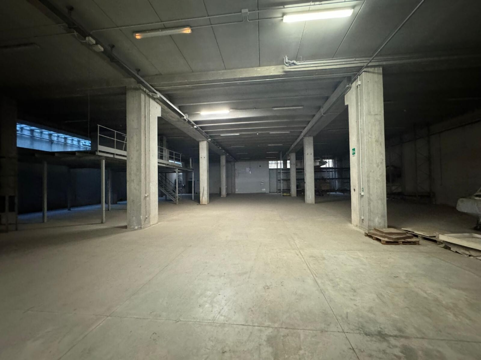 Complesso - Image 12