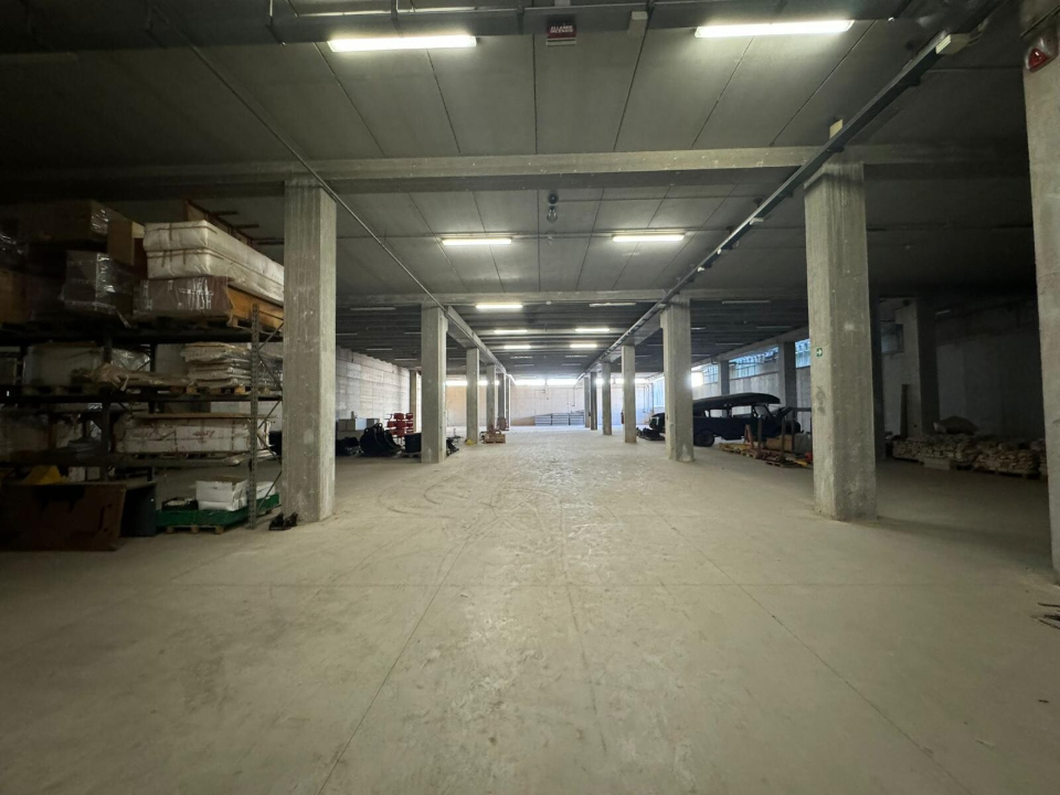 Complesso - Image 16