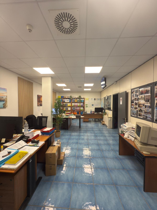 Complesso - Image 15