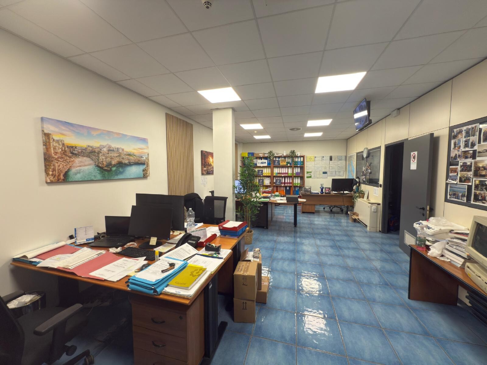 Complesso - Image 16