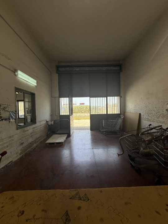 Complesso - Image 16