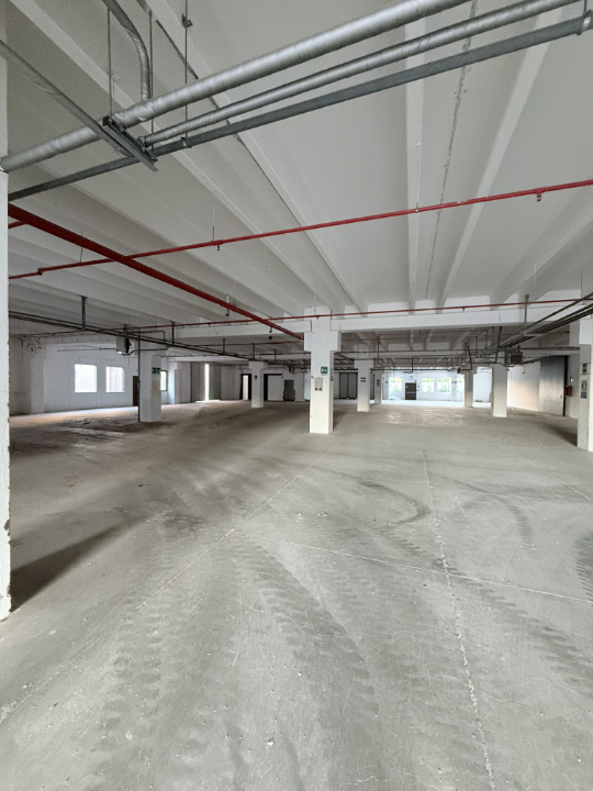 Complesso - Image 13