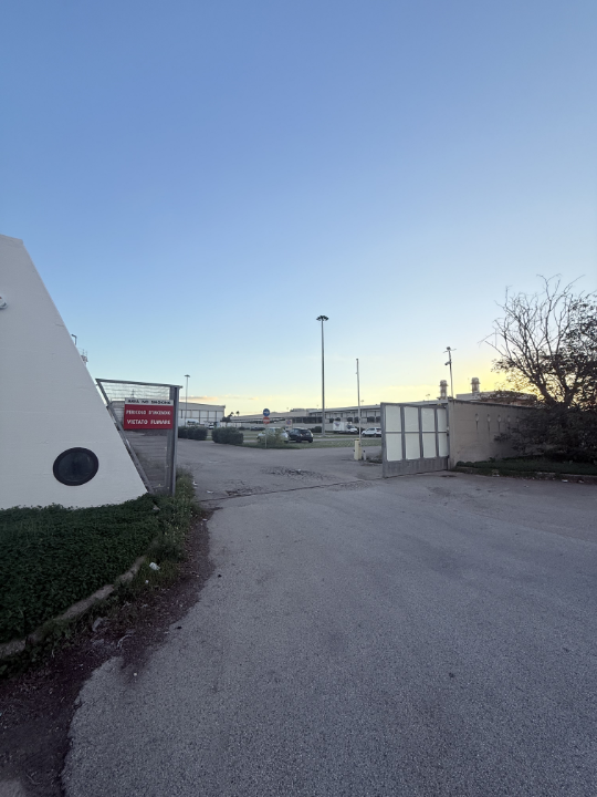 Complesso - Image 15