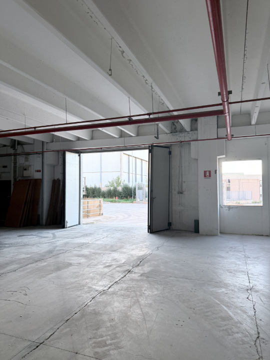 Complesso - Image 12