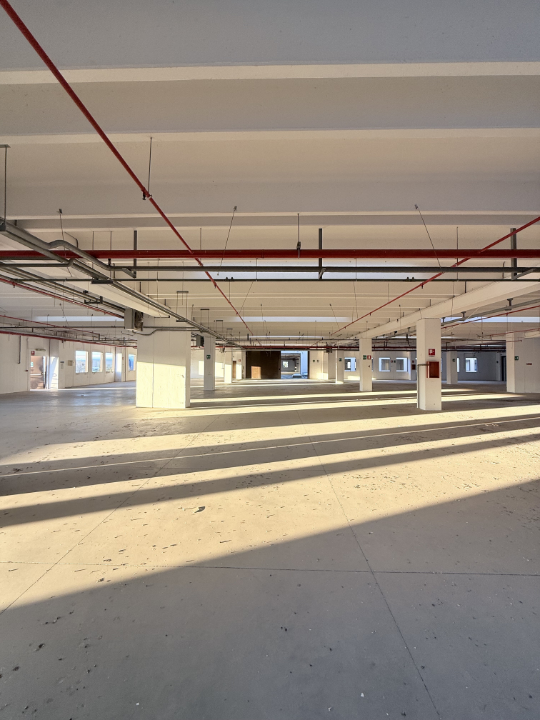 Complesso - Image 16