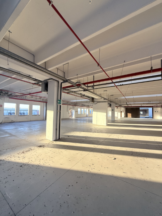 Complesso - Image 15