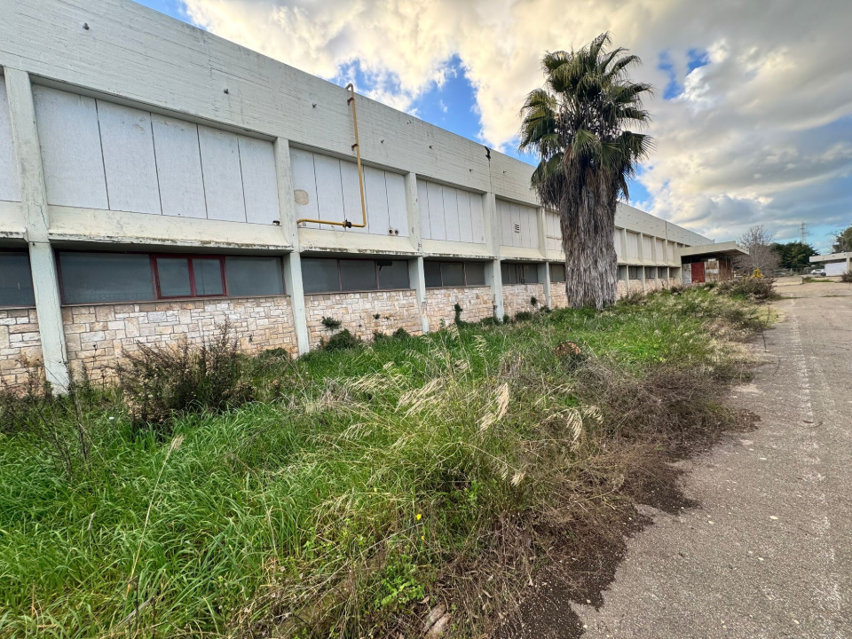 Complesso - Image 16