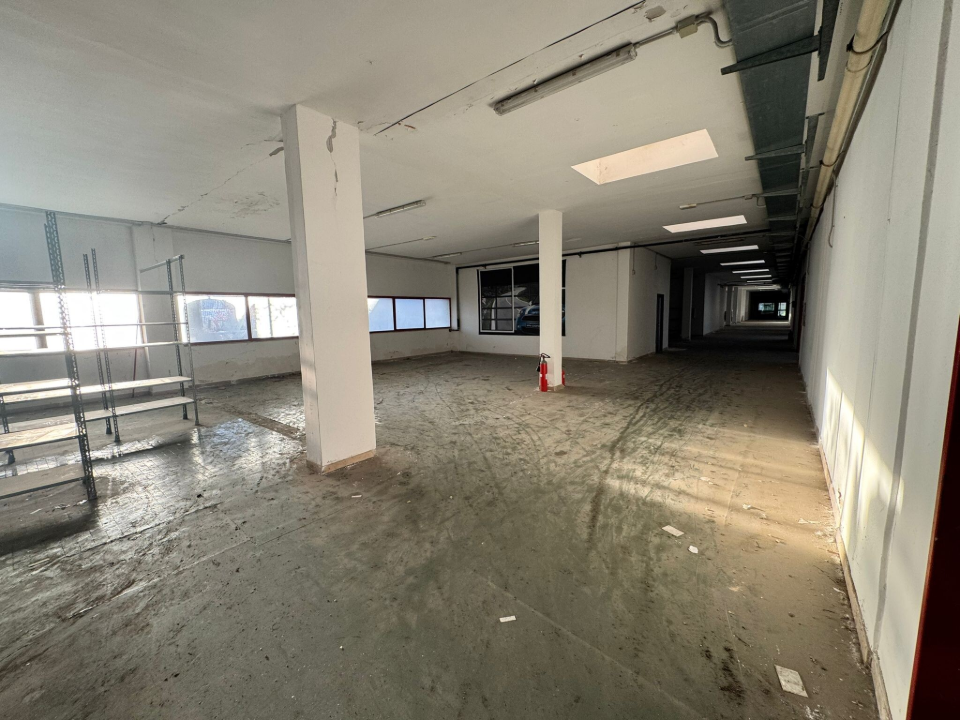 Complesso - Image 17