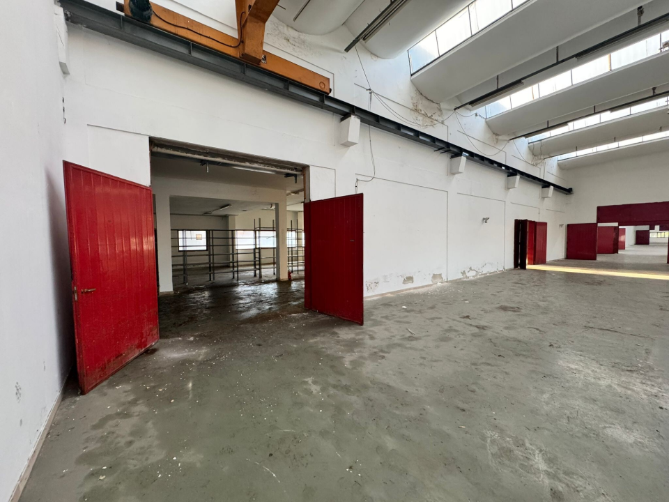 Complesso - Image 21