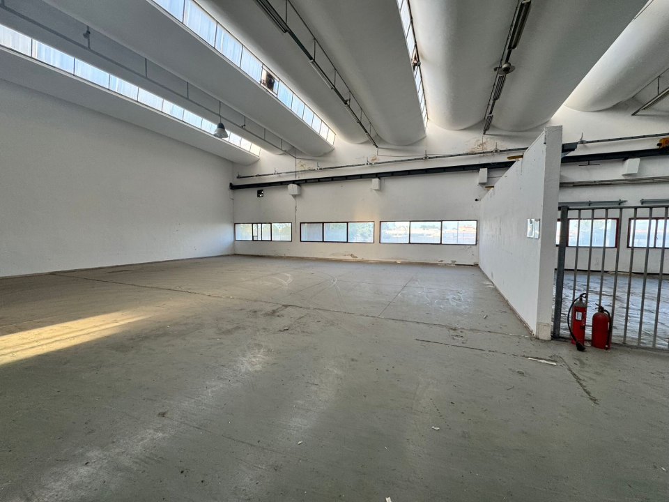 Complesso - Image 19