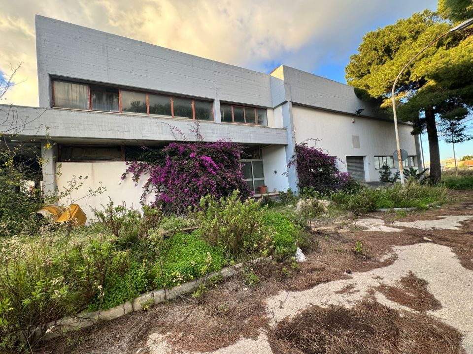 Complesso - Image 10