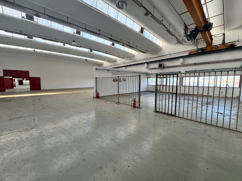 Complesso - Image 20