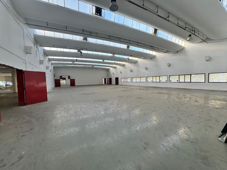 Complesso - Image 14