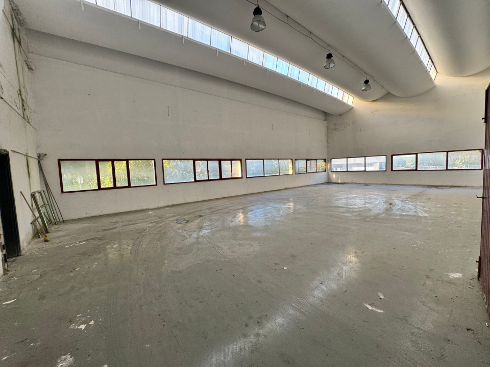 Complesso - Image 12