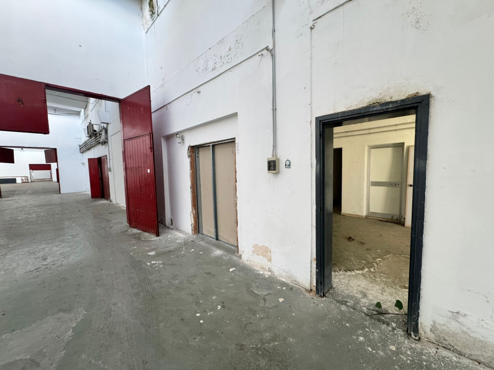 Complesso - Image 11