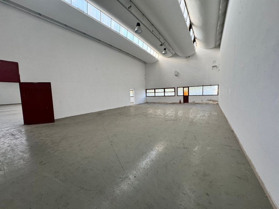 Complesso - Image 15