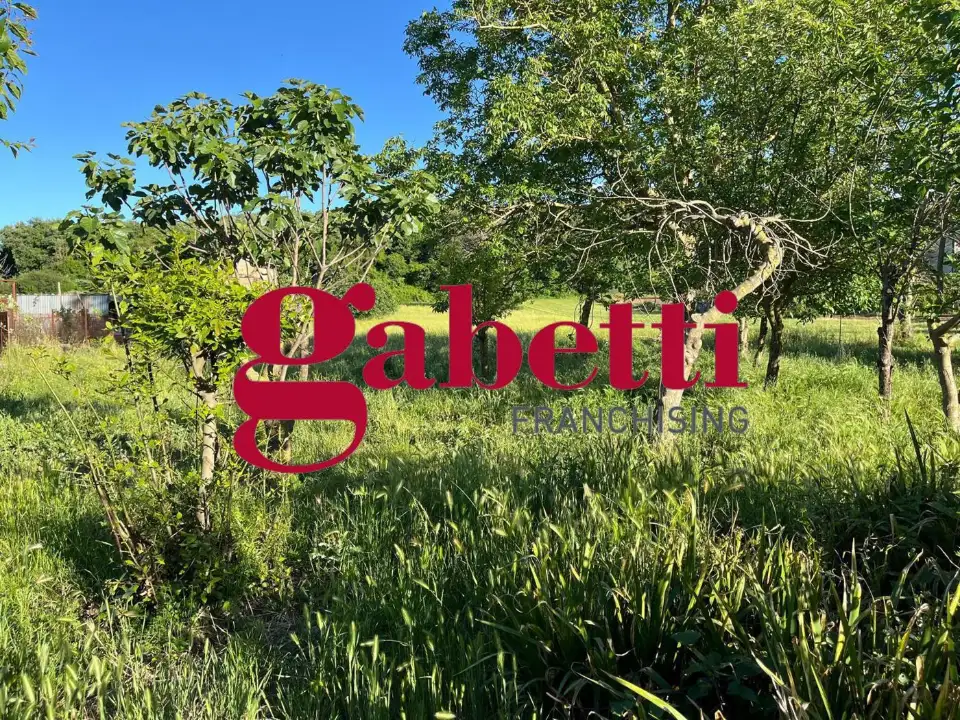 Appartamento - Image 6