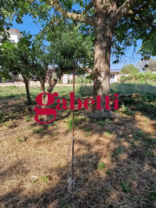 Appartamento - Image 8