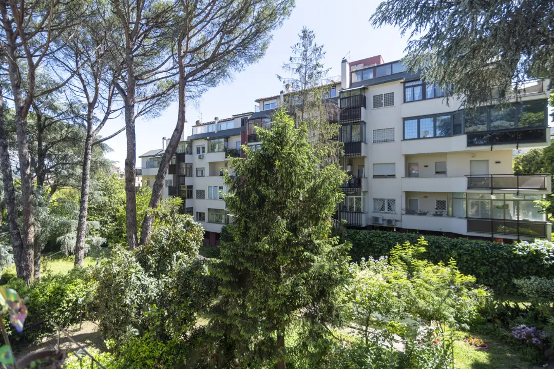 Appartamento - Image 14