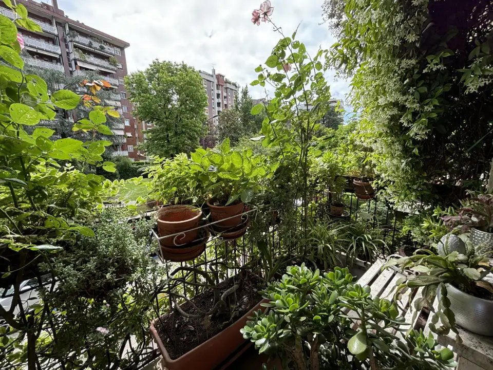 Appartamento - Image 8